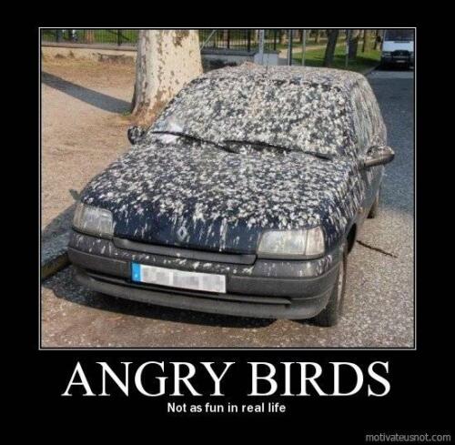 Angry_birds