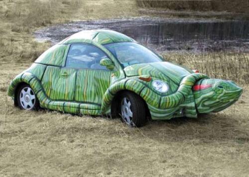 VW_Turtle