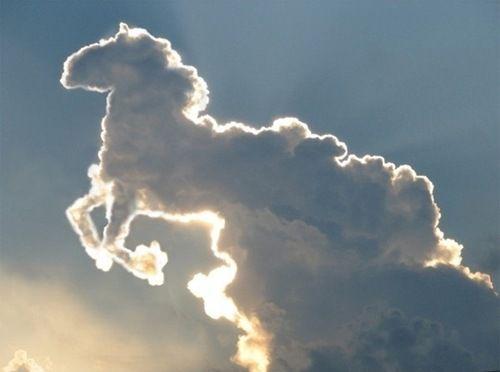 A Horse In The Sky