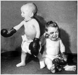 Boxing babies