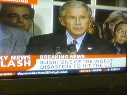 Bush on Sky