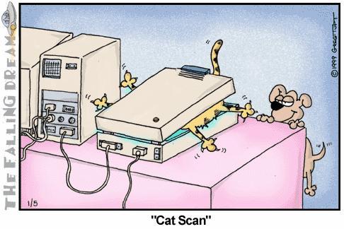 Cat scan