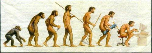 Evolution Of Mankind