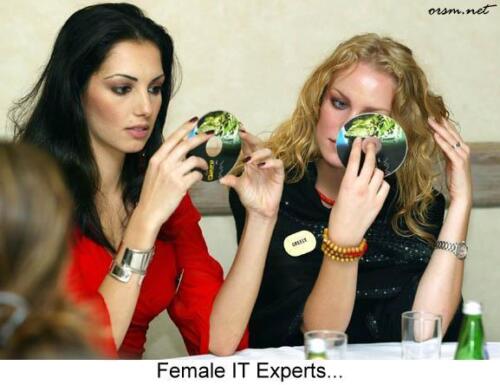 Female it experts