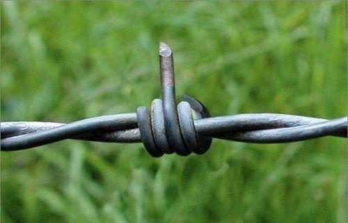 Fuck fence