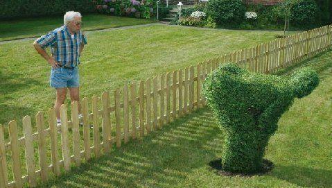 How to do when you and your neighbour don t get along