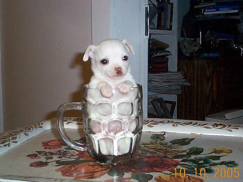 I m sure glad this wasn t a frosted mug