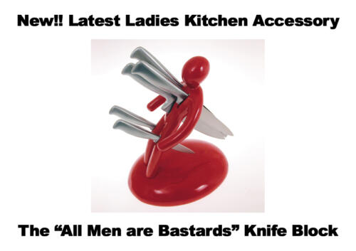 Latest ladies kitchen accesory