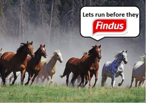 Lets run before they findus