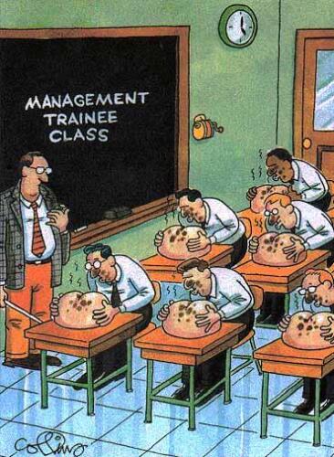 Management trainee class