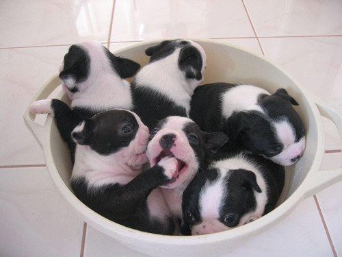 Mom said to cover your mouth when you yawn     