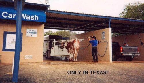 Only in Texas 2