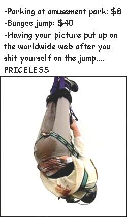 Priceless bungee jump
