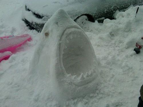 Snow Shark