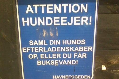 attention hundeejere