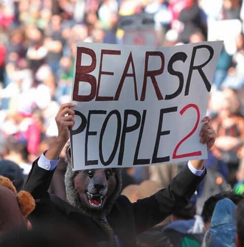 bears are people